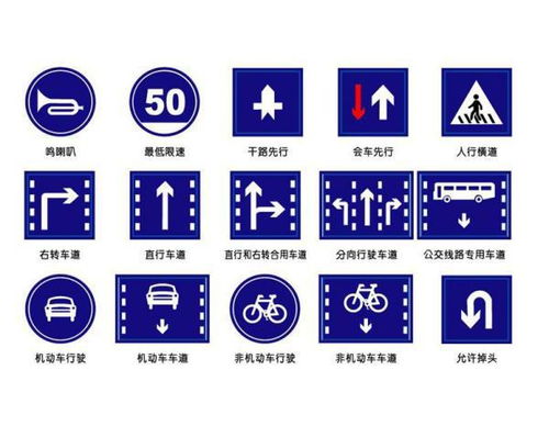 交通标志与安全用语概览