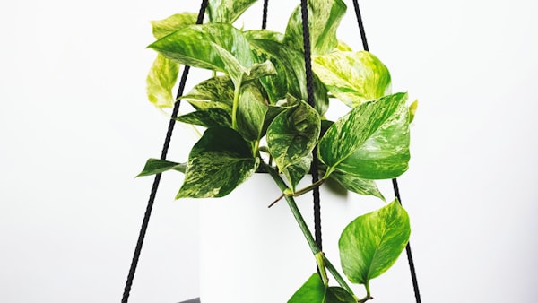 意甲米兰德比全场回放：国际米兰与AC米兰激烈对抗的进球与关键镜头集锦